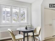 1 Zimmer Wohnung in Zürich zu vermieten