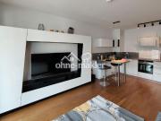 1 Zimmer Wohnung vollmöbiliert wie neu große Südloggia