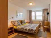 1 Zimmer Wohnung zur Miete in Mitte, Berlin