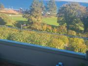 1 Zimmerwohnung Rarität: unverbaubarer frontaler Meerblick 1 Zimmerwohnung Rarität: unverbaubarer frontaler Meerblick