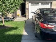 1bd Room walkout basement suit for rent Single Tenant only