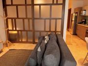 1BR, 1BA Condo in downtown close to 5th Ave, Playa del...