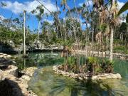 1BR 1BA, Villa Oasis, Villas Agua, Tulum