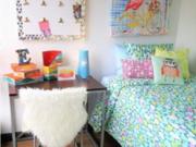 1Eleven Student Apartments Studio Apartment for Rent at...