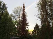 1Fam. Haus, Hagen Emst mit Baugrundstück