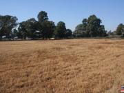 1Ha Vacant Land For Sale in Bapsfontein