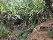 1mil m2 com escritura +casa 2 qts