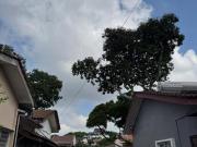 1sty 25x75 PJ seksyen22 Petaling Jaya Section 22 FREEhold