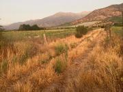 MARAVILLOSA PARCELA EN VENTA, HACIENDA DE CHADA, PAINE
