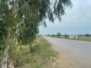 2000 Kanal Land For Sale Rawalpindi Ranial ID 67839