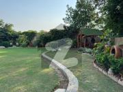 2000 Sq. Yards Fully Furnished Luxurious House With...
