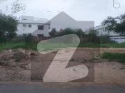 2000 Yard Plot For Sale in Popular Avenue DHA Phase 6