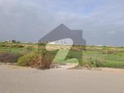 38th street residential 2000 yards 120x150 plot zone D