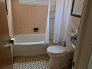 20061 Pierson Street