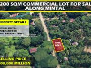 200 sq. meters Commercial Lot for sale at Mintal, Davao City
