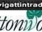 200 sqm inner lot at cottonwoods subdivision antipolo