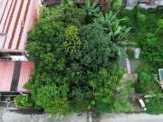 200SQM Mini Farm Lot FOR SALE in Cainta Greenpark Village!