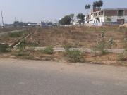 2010 Sq.Ft. Plot in Sector 10 Greater Noida Listing ID #8722