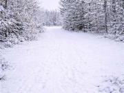 2016 2 Tay River, Tay Valley, NB E6B1P6 House For Sale |...