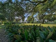 2020 30 Farragut St, New Orleans, LA 70114