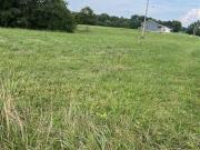 2020 Allen Schoolhouse Rd, Columbia, KY 42728