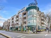 203 1 Cypress Street