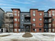 203 396 SILVER BERRY RD NW Edmonton Alberta 203 396 SILVER BERRY RD NW Edmonton Alberta