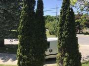 203 Goddard Street, Toronto, ON, M3H 5E7 house for sale...