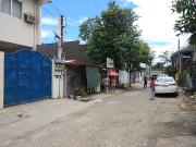 203 sqm Lot For Sale in Caimito Street, Basak San...