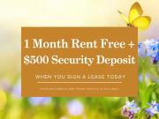 20449 Park Ave, Langley, BC, Apartment for rent for $2,775