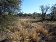 205.2 ha Farm in Graaff Reinet