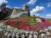 208 Beaverlodge Close, Fort Mcmurray, AB, T9H 2V5 vacant...