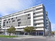 209/4 Honeysuckle Drive, Newcastle, NSW 2300