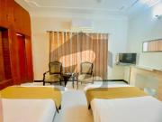 20 Bed Rooms Fully Furnished House For Rent In F 6