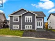 20 Caravelle Place, St. John'S, NL, A1A 0N4 house...