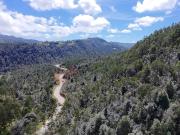 20 has boscosas en Acaxochitlan con Cantera, Rancho...