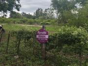 20 HAS. EXCELENTE UBICACION EN LA LOCALIDAD EL GALPON