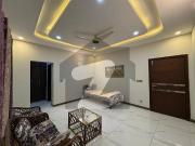Brand New Upper Portion Brand New Upper Portion
