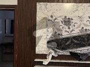 20 marla beautifull brand new house availble for rent...