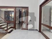 20 Marla Brand New Full House Available For Rent In DHA...