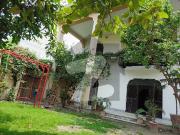 20 Marla Full House Available For Rent Shami Road 20 Marla Full House Available For Rent Shami Road