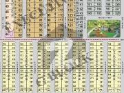 20 Marla plot available for sale executive block hot...