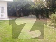 20 Marla Semi Commercial House Is Available For Rent In...