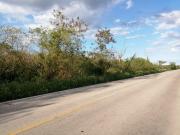 20 MIL METROS VENTA MOTUL, MÉRIDA YUCATÁN