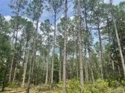 21077 U. S. HIGHWAY 31, LETOHATCHEE, AL, USA HIGHWAY,...
