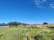 21.4 ha Farm in Bainsvlei