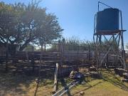 21.4 ha Farm in Tweefontein