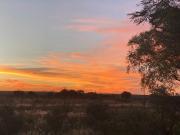 21 ha Farm in Cullinan and Surrounds