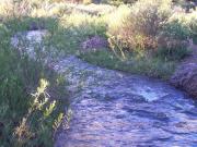 21 HA VALLE DE ONGAMIRA/RIO ONGAMIRA