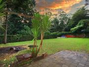 2206 Springbrook Road, Springbrook, QLD 4213